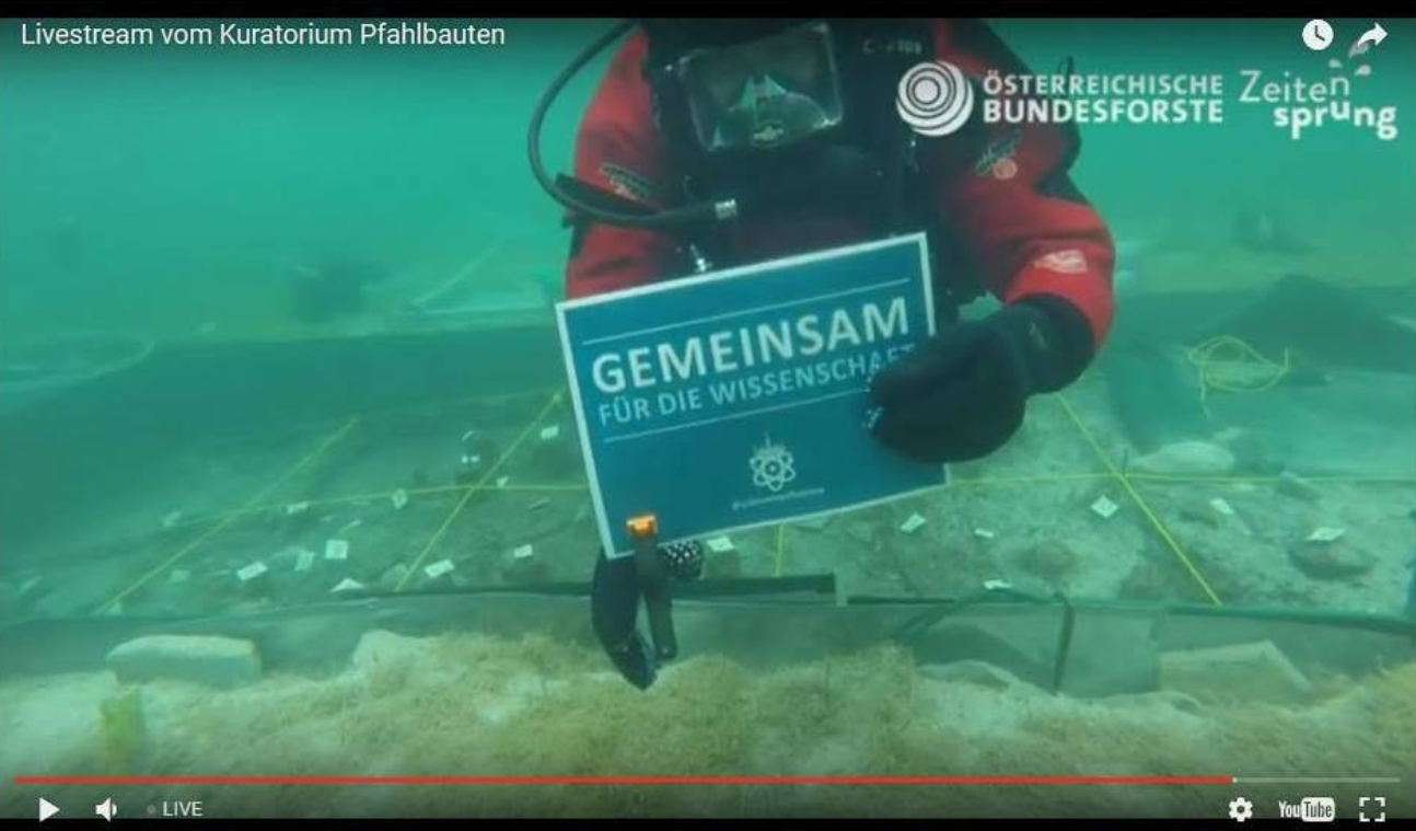 Gute Wissenschaftskommunikation ist ein Ökosystem